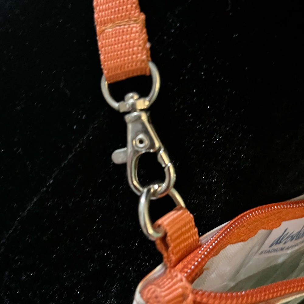 Desten Texas Longhorn Clear Crossbody Bag - Picture 5 of 6